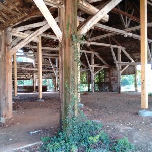 Interior aspect of the old sawmill before being reformed by IASO